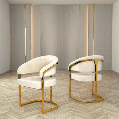 Buy Apartment Luxury Dining Chair With Backrest No Armrest online manufacture