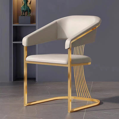 Buy Modern Minimalist Luxury Dining Chair Stainless Steel Leisure Facilities online manufacture